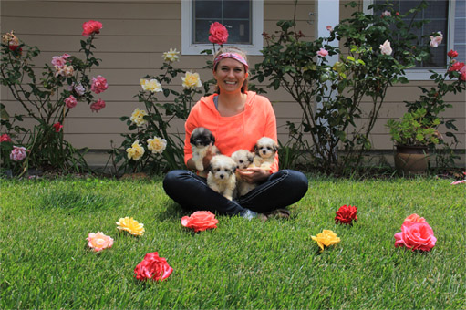 Angela Havanese Puppy Breeder California